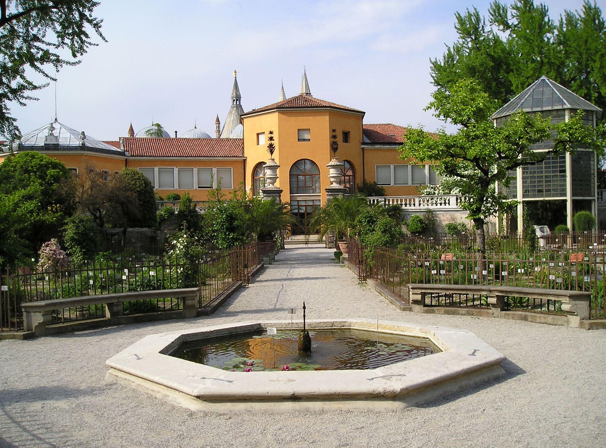 Orto Botanico de Padoue | Padoue, Italie